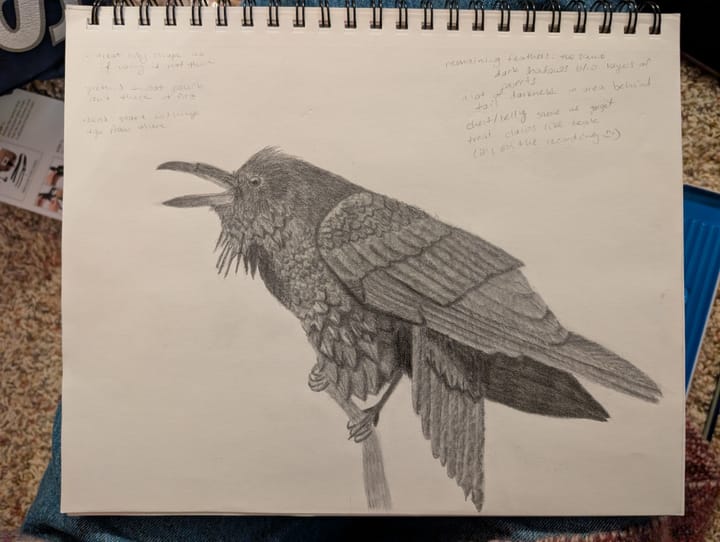 Drawing really is a skill you can learn